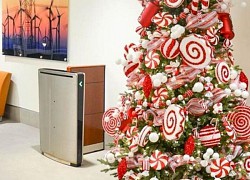 Cách trang trí cây thông Noel tại nhà đơn giản, ấn tượng