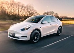 Chủ sở hữu Tesla bị mắc kẹt bên trong xe Model Y