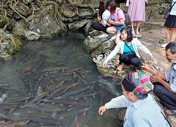 Du lịch Thanh Hóa 'cất cánh'