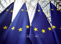 EU nhất trí cấp quy chế ứng cử viên cho Bosnia