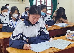 Hà Tĩnh đặc cách học sinh giỏi cho 91 học sinh đạt IELTS từ 7.0 trở lên