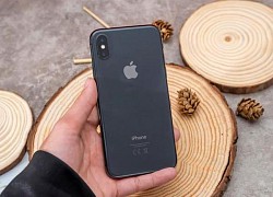 iPhone 13 giảm giá mạnh, iPhone Xs Max chỉ còn 8,39 triệu đồng