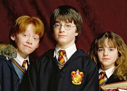 Khi dàn nhân vật Harry Potter hóa em bé: Thầy Dumbledore hài hước, phản diện đáng yêu hơn hẳn