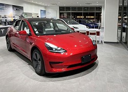 Tesla nhận hơn 5000 đơn hàng sau một tuần ra mắt tại Thái Lan