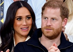 Tranh cãi việc Harry và Meghan thuê biệt thự để quay phim