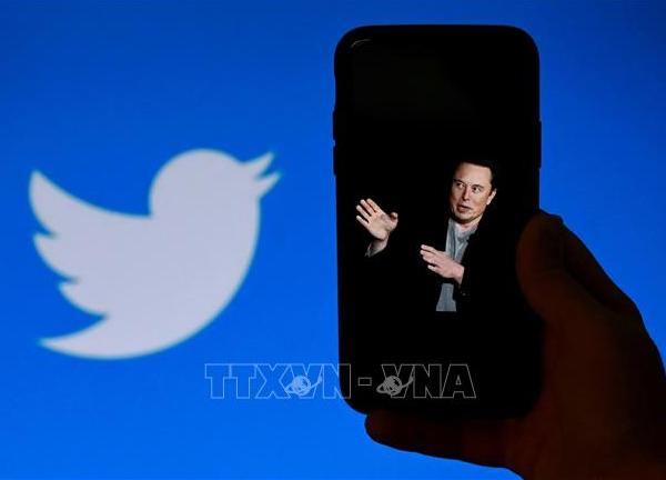 Tỷ phú Elon Musk khởi động lại dịch vụ đăng ký tích xanh cho tài khoản Twitter