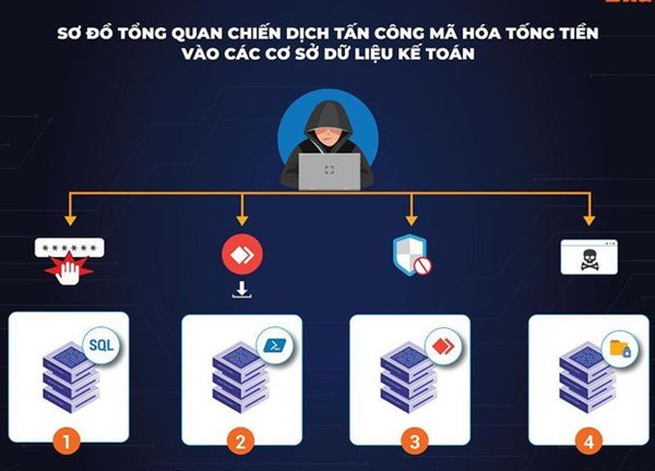 Bùng nổ lừa đảo tài chính online, tin nhắn giả mạo tại Việt Nam