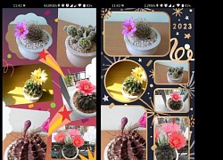 Cách tạo ảnh ghép năm mới bằng Google Photos