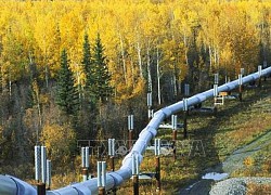 Canada khởi động lại một phần của đường ống dẫn dầu Keystone