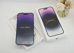 iPhone 14 Pro Max khan hàng tại Việt Nam tới quý II/2023