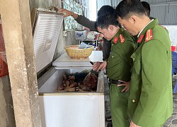 Bắt quả tang cơ sở kinh doanh ở Hà Tĩnh chứa hơn 400 kg động vật bốc mùi hôi thối