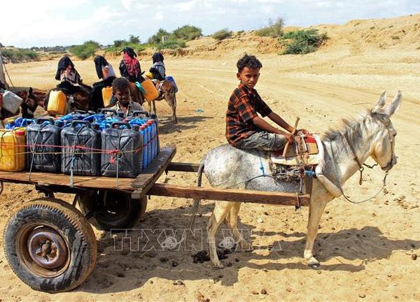 Nhìn lại thế giới 2022: Cơ hội nào cho khí hậu Trái Đất?