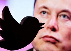 Elon Musk hỏi dân mạng có nên từ chức CEO Twitter