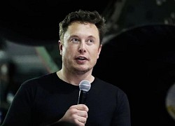 Không cần thăm dò, Musk nên sớm từ chức CEO Twitter