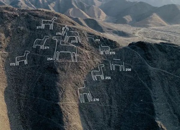 Bí ẩn 2000 năm chưa có lời giải về những hình vẽ khổng lồ trên cao nguyên  Nazca