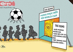 Phục hồi chức năng hậu World Cup