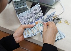 Tỷ giá USD hôm nay 19/12: Đô la Mỹ vẫn ở mức thấp, dưới 105 điểm