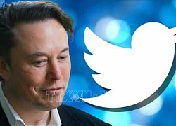 Tỷ phú Elon Musk trưng cầu ý kiến về khả năng từ chức CEO Twitter