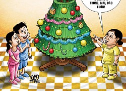 Cây thông Noel '3 trong 1'