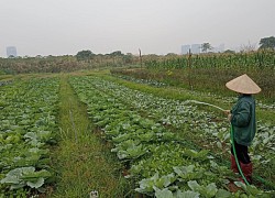 Chàng trai "càng khởi nghiệp càng nghèo" tìm được hướng đi mới