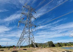 Huy động nhân lực nghiệm thu dự án Đường dây 500kV Vân Phong - Vĩnh Tân