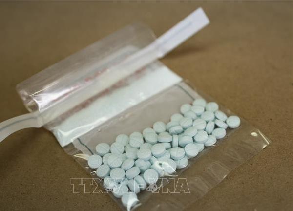 Mỹ thu giữ một lượng kỷ lục thuốc giảm đau fentanyl