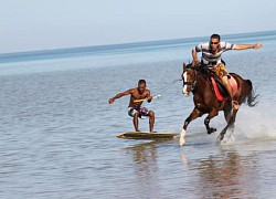 Bắt gặp những khoảnh khắc khó đỡ khiến bao người cười ngả nghiêng