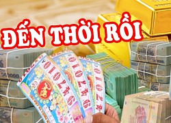 Cá chép hóa Rồng: 3 tuổi này vượt ải thành công, vận may tích tụ, Tết này giàu to