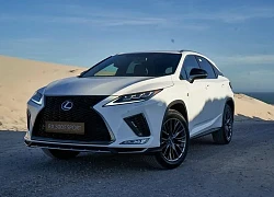 Lexus RX sẽ có thay đổi rất lớn, tiết kiệm xăng hơn từ ngay năm nay