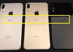 Lộ diện iPhone X hiếm với máy quét vân tay ở mặt sau