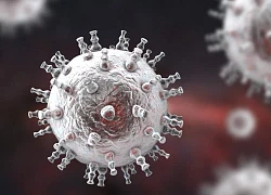 Loại virus gây ung thư sarcoma Kaposi