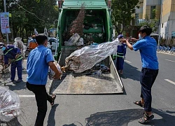 Thương lái đẫm nước mắt nhìn cảnh hàng nghìn chậu hoa Tết chuyển lên xe rác