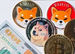 Dogecoin, Shiba Inu lao dốc