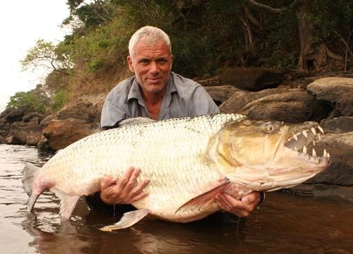 Thủy quái sông Congo, phiên bản cá Piranha nâng cấp: Tấn công cả cá sấu và con người!