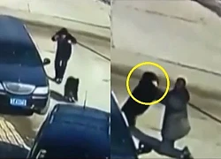 Clip: Người đàn ông dùng võ chiến đấu với chó Ngao Tây Tạng và cái kết