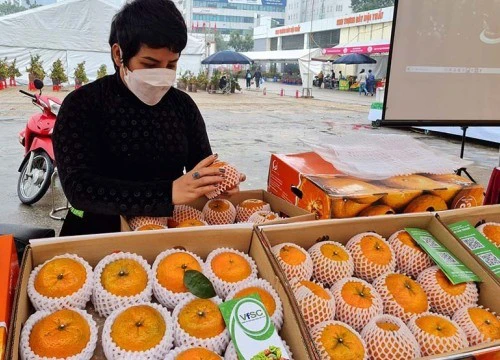 Lão nông Việt làm hàng VIP: Một cân vải 600 nghìn, dâu tây 1,2 triệu/kg
