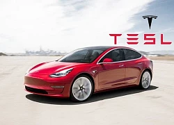 Tesla không có ý định sản xuất xe giá rẻ