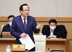 Trồng nấm kim châm bằng bã cà phê, sau 2 tuần, cả nhà ngơ nhác nhìn nhau vì thấy nấm mọc lên tua tủa