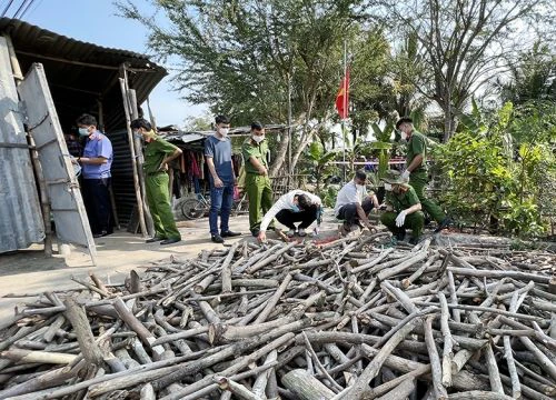 An Giang: Khởi tố, bắt giam bị can sát hại mẹ ruột