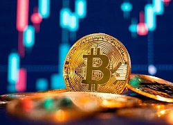 Bitcoin phá mốc 45.000 USD, vực dậy cả thị trường tiền mã hóa