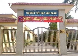 Chấm dứt hợp đồng với giáo viên chủ nhiệm vụ 3 học sinh bị đánh tím mông