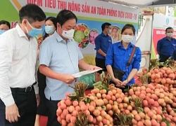 Chủ tịch Hội Nông dân Việt Nam nêu giải pháp giúp nông dân tăng thu nhập