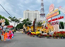 Chưa hết "mùng", người dân đã lũ lượt "bắt cóc" linh vật hổ trưng bày Tết về nhà