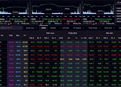 Chứng khoán hôm nay 8/2: VN-Index rung lắc quanh 1.500 điểm