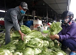 Hải Phòng: Cá trăm đen, rau xanh cứ đem ra chợ là bán hết veo