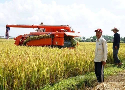 Quảng Nam rải thảm đỏ kêu gọi các tập đoàn đầu tư vào nông nghiệp hiện đại