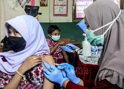 Indonesia cấp phép thử nghiệm lâm sàng cho vaccine tự sản xuất trong nước