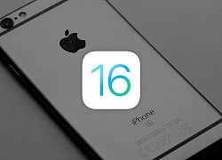 iOS 16 sẽ có tính năng mới để ai cũng có thể nhìn lại sự "bận rộn" của chính mình?