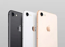 iPhone SE 3 5G sẽ là mối nguy của cả phân khúc tầm trung