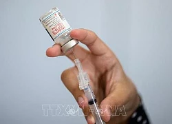 Nhật Bản chuẩn bị tiêm vaccine ngừa COVID-19 cho trẻ em từ 5 đến 11 tuổi